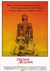 Плетена людина