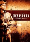 Шейн
