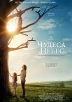 Чудеса з небес