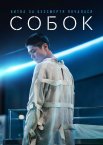 Собок