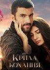 Крила кохання