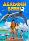 Дельфін Берні 2