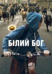 Білий бог