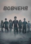 Вовченя