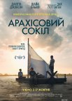 Арахісовий сокіл
