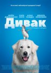 Дивак