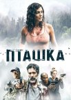 Пташка