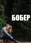 Бобер