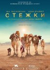 Стежки