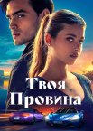 Твоя провина