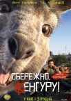 Обережно, Кенгуру!
