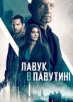 Павук в павутині
