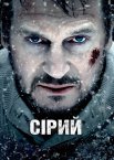 Сірий / Сутичка
