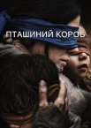 Пташиний короб