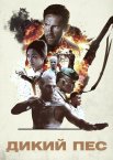 Дикий пес