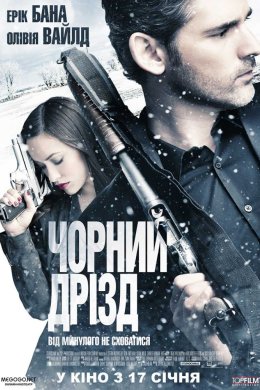 Постер Чорний дрізд