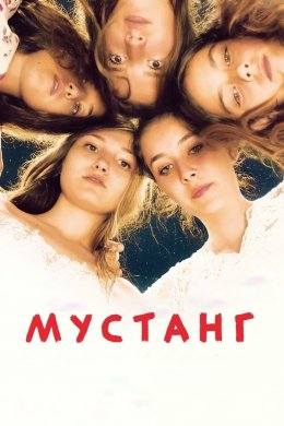 Постер Мустанг