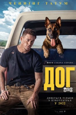 Постер Дог