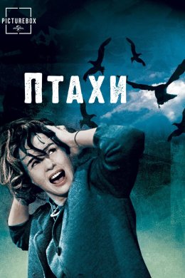 Постер Птахи