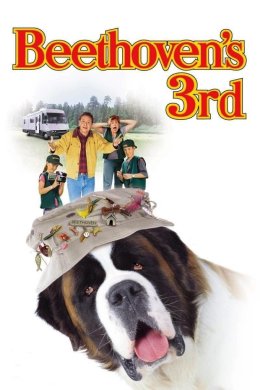 Постер Бетховен 3