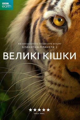 Постер Великі кішки