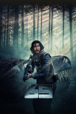 Постер 65