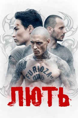 Постер Лють