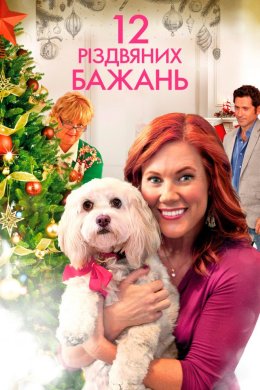 Постер 12 різдвяних бажань
