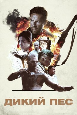 Постер Дикий пес